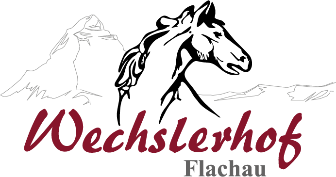 Wechslerhof Flachau